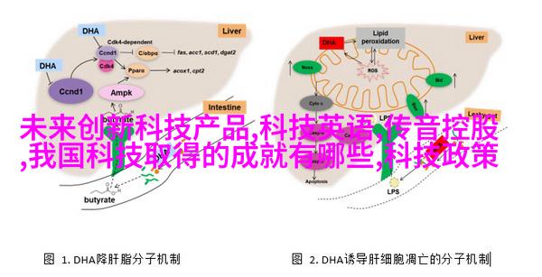 三室一厅简装房图片